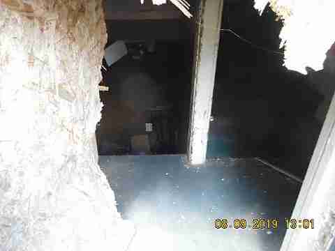 15779 Linden (8)_m.jpg